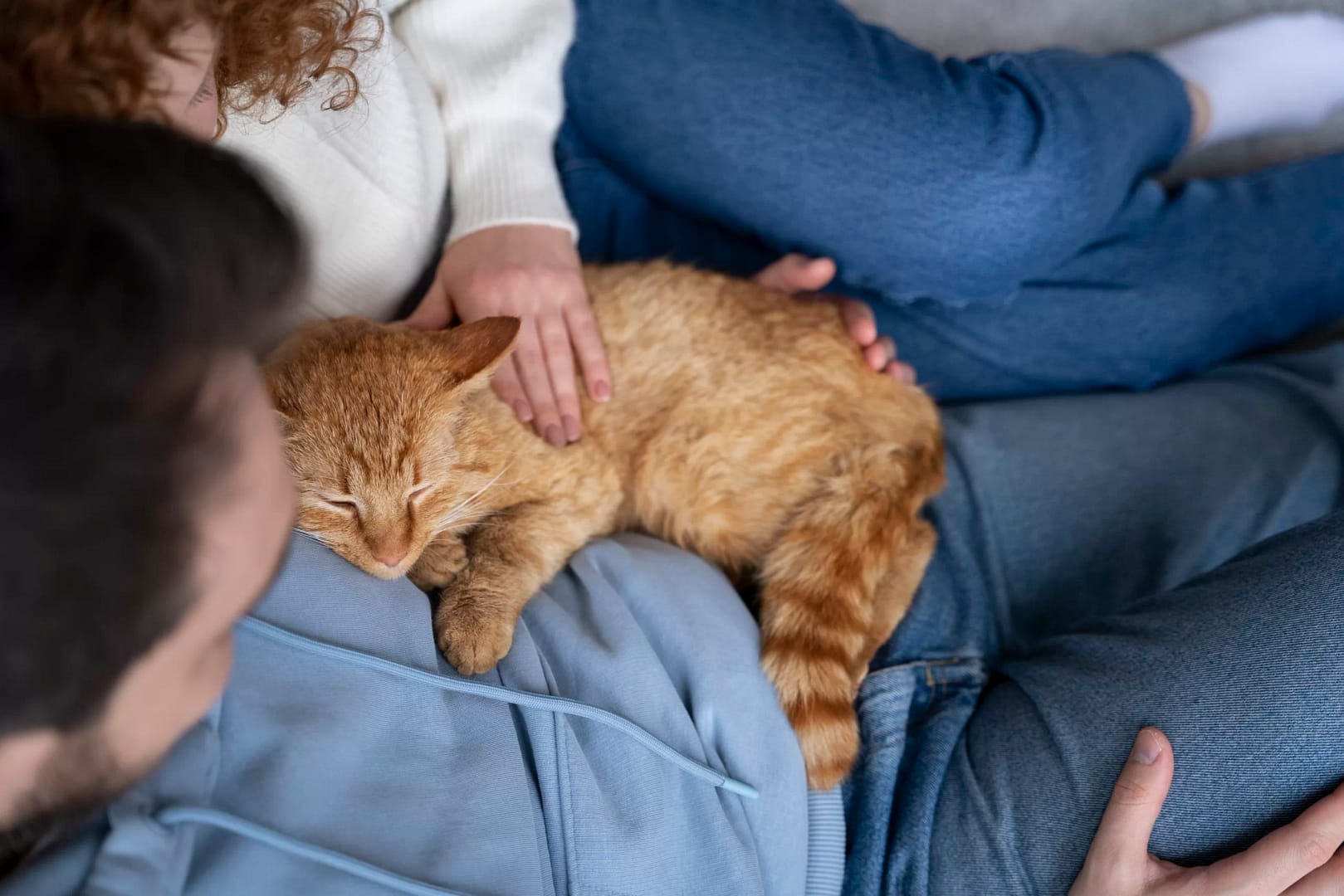 couple holding cute sleeping cat scaled